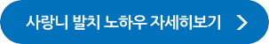 사랑니 발치 노하우 자세히보기